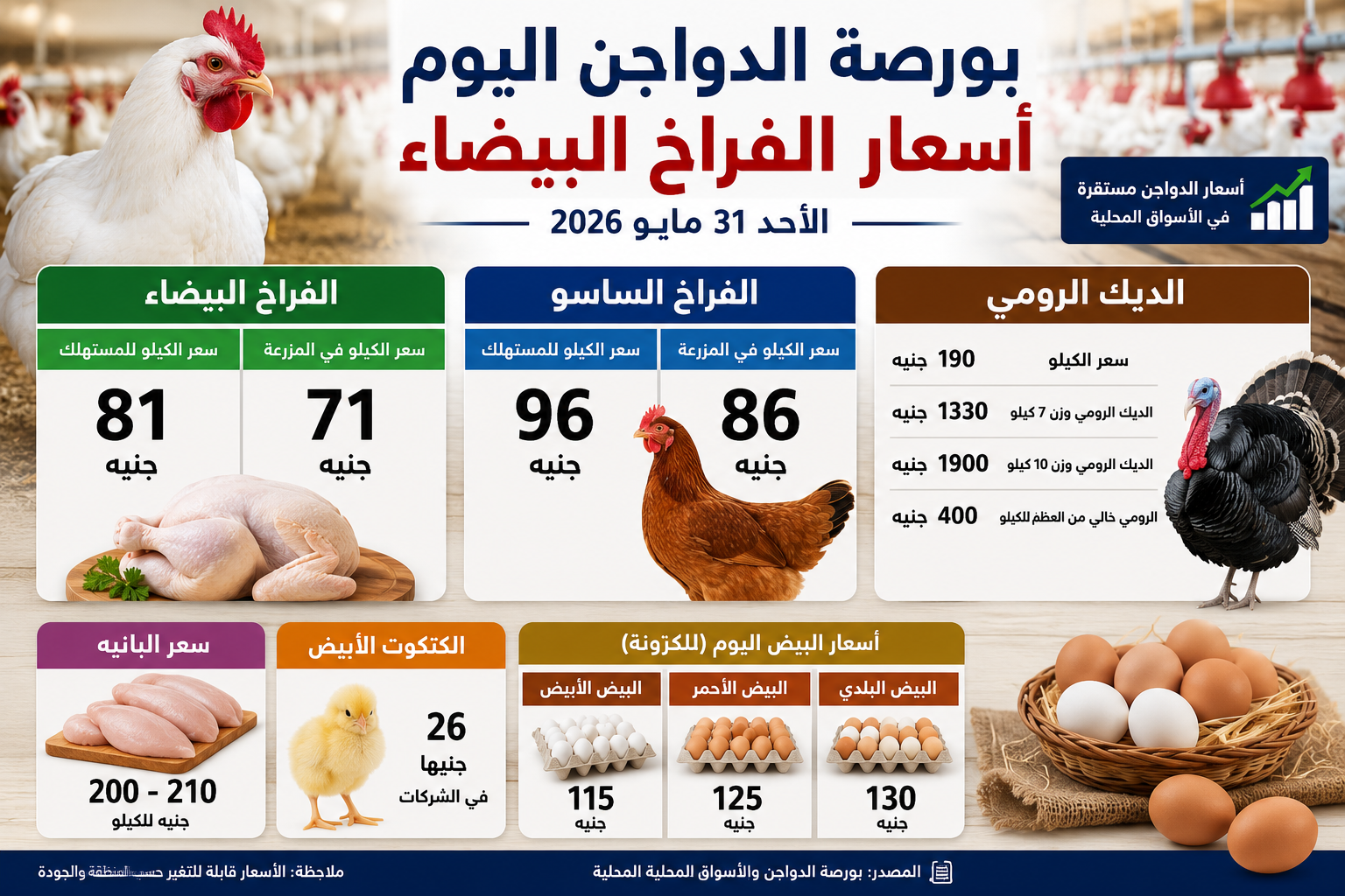 أسعار الفراخ اليوم الأحد 31 مايو 2026 في بورصة الدواجن.. استقرار بعد موجة ارتفاعات